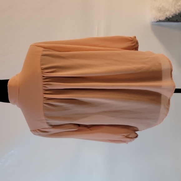 Forever 21 Blush Colored Button-up Sheer Blouse Size Small - Picture 4 of 11